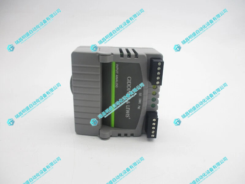 GIDINGS&LEWIS M.1017.3098分析輸入模塊