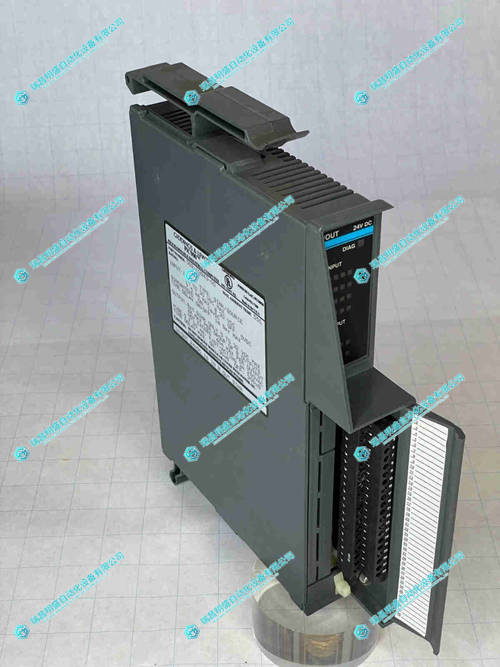 GIDDINGS & LEWIS 502-03843-00 輸入輸出模塊