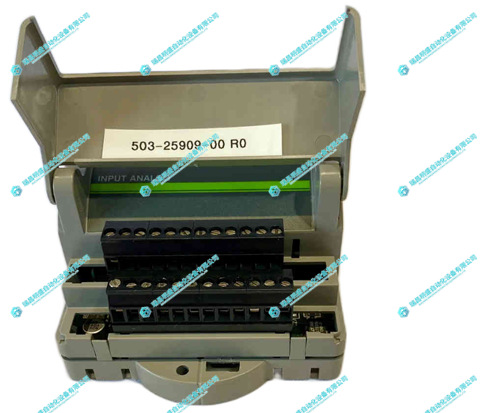 GIDINGS&LEWIS 503-25909-00輸入模擬模塊