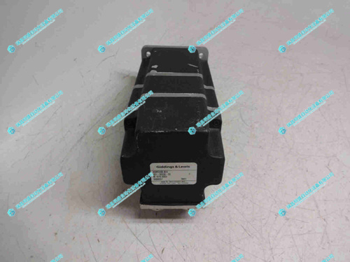 GIDINGS&LEWIS NSM3406無刷伺服電機(jī)