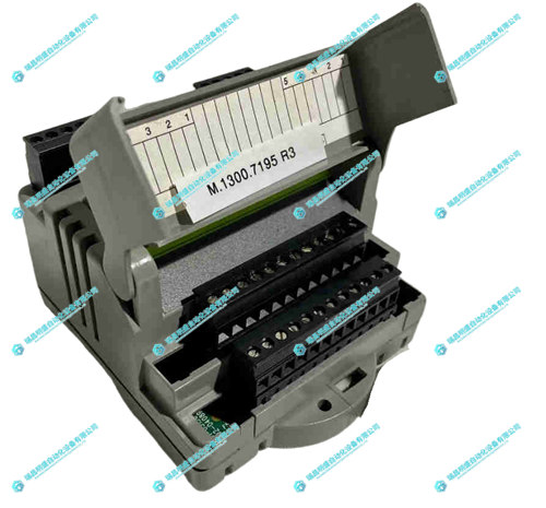 GIDINGS&LEWIS M.1300.7195輸出模塊