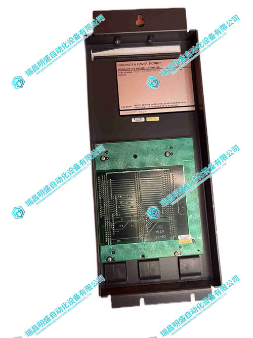 GIDINGS&LEWIS 503-19185-01編碼輸入模塊